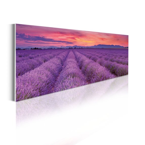 Landscape Acrylic Glass Wall Art, Blooming Lavender Fields Romantic France Scenery Rural Countryside, Panoramic Decor Living Room Bedroom & Dorms, 47" x 16", Violet Salmon Ceil Blue, by Ambesonne