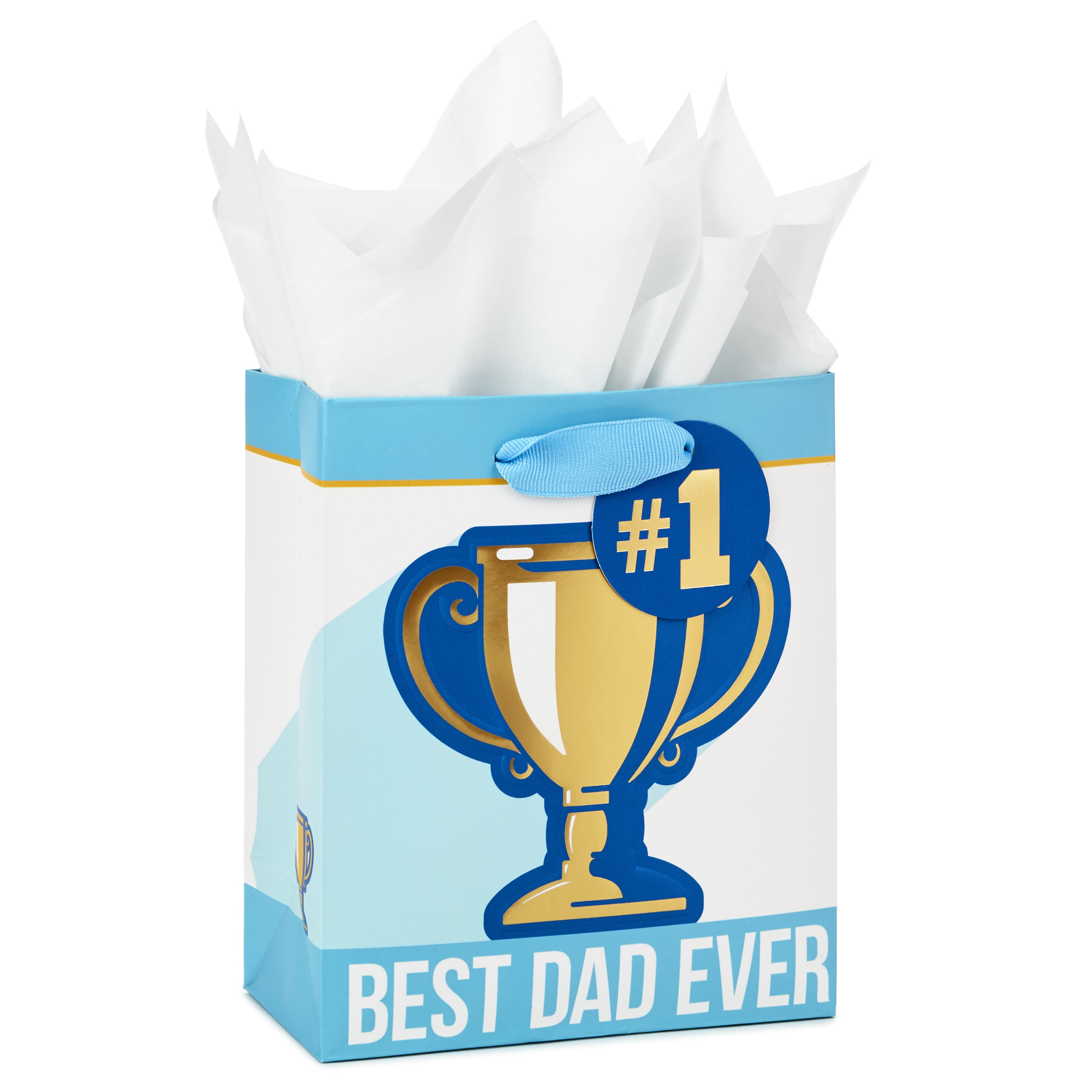 dad gift bag
