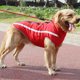 thumbnail image 1 of Nueva ropa para perros de otoño e invierno, abrigo de algodón grueso para perros, abrigo de carga para perros grandes para exteriores, suministros para mascotas 15*19 catties, 1 of 5