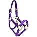thumbnail image 3 of Jacks 1823-PU-L Deluxe Mini Halter, Purple - Large, 3 of 4
