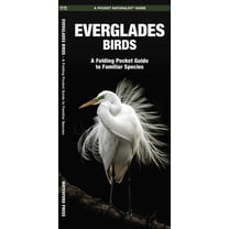 Pocket Naturalist Guides: Everglades Birds: A Folding Pocket Guide to Familiar Species (Other)