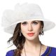 thumbnail image 1 of VECRY Lady Derby Vestido Iglesia Cloche Sombrero Lazo Cubo Boda Bowler Sombreros, 1 of 2