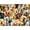 Color-2, variant on Jigsaw Puzzle for Adults, Senior Dog Portrait, 1000 Piece Premium Puzzle, Heartwarming Detailed Animal Art for Dog Lovers, Challenging Activity