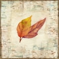 thumbnail image 2 of Coulter, Cynthia 15x15 White Modern Wood Framed Museum Art Print Titled - Nature Walk Leaves I, 2 of 4
