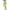 Green, variant on HaiMao Girls' Basic Capri Leggings 3/4 Pants Clearance Girls Cropped Leggings for School or Sports Purple 13 Years
