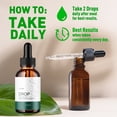 thumbnail image 5 of Drop - Daily Health Advanced Formula Drops to Support Active Lifestyle 60 Servings, 5 of 8
