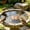 A, variant on Clearance! Copper Disc for Bird Bath Bird Bath Copper Disk Bird Bath Plate Decorative Purification Plate with Support Points Natural All Weather Water Suitable for Outdoor Bird Bath Tubs and Bowls
