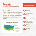 thumbnail image 4 of Back to the Roots Organic Tomato 'Brandywine Pink', 1 Seed packet, 4 of 7