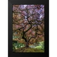 thumbnail image 2 of Centioli, Mike 11x14 Black Modern Framed Museum Art Print Titled - Japanese Maple Tree, 2 of 5