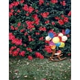 thumbnail image 1 of BSDHOME Polyester 5x7ft Red Flowers Balloon Photography Backdrops Photo Props Studio Background, 1 of 2