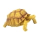 thumbnail image 1 of Figura de tortuga, juguete de tortuga, juguete educativo simulado, juego de tortuga pequeña amarillo, 1 of 9