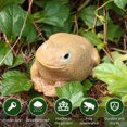 thumbnail image 3 of CNKOO Ladybug Spare Keys Hider Outdoor Weatherproof Key Hiders for Garden Outdoor(Frog), 3 of 5