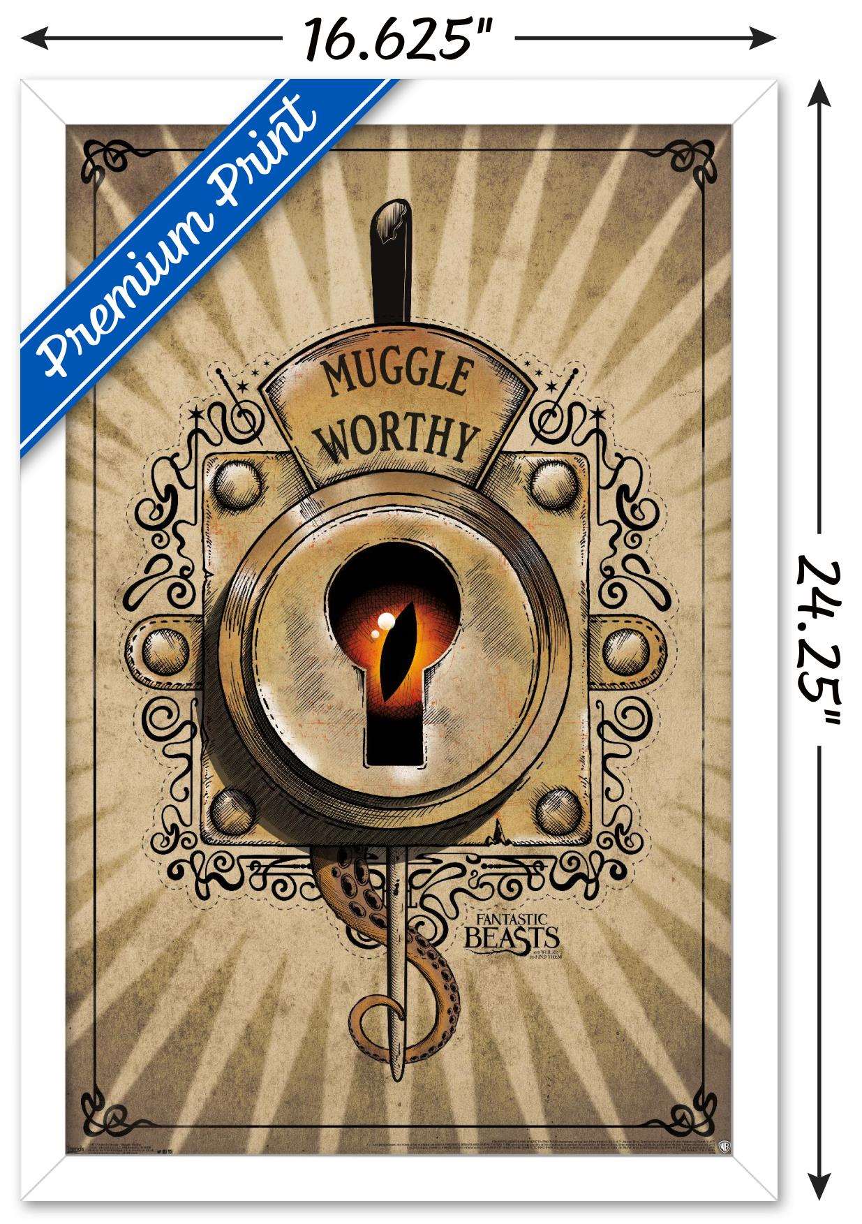 Fantastic Beasts And Where To Find Them - Muggle Worthy Wall Poster, 14.725" x 22.375", Framed