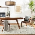 thumbnail image 2 of BoutiqueRugs Tubao Bohemian, Transitional Area Rug - Medium Gray, Dark Brown, Ivory - 2' x 3', 2 of 14