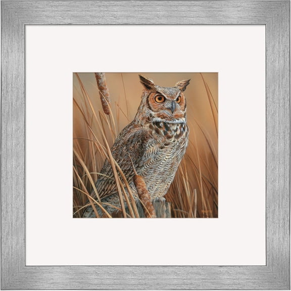 Great Horned Owl