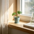 thumbnail image 3 of Fleshy Plants Pots with Drainage Tray, Sturdy Geometric Ribbed Plastic Planter, Faceted Modern Flower Pot for Succulents and Houseplants, Indoor Home Decor, 5.91x5.63x5.63 Inches, 3 of 7