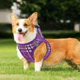 thumbnail image 4 of MoNiBloom No Pull Dog Harness with Leash, No Choke Reflective Pet Vest Adjustable Breathable Mesh Harnesses Dogs Walking, Purple S, 4 of 10