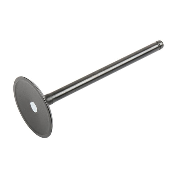 GM Genuine Parts 12619825 Engine Intake Valve