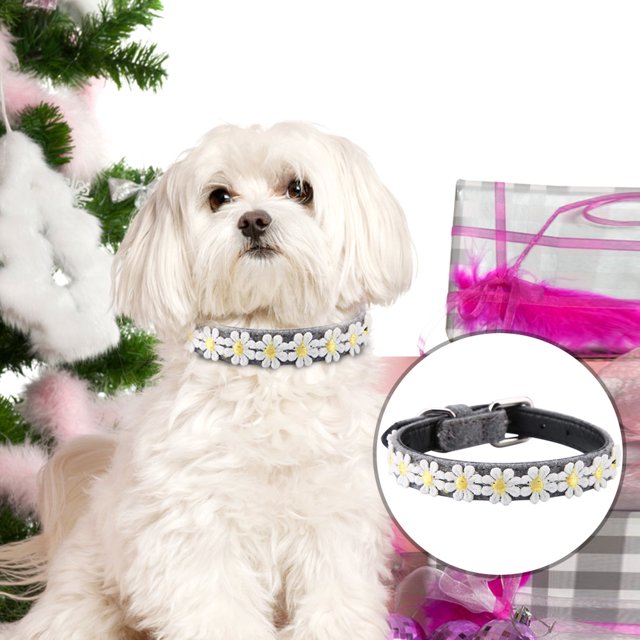 Collar De Perro Mascota Collar De Perro Ajustable Pajarita De Perro Collar De Hebilla Ajustable Collar De Perro Cuello Hebilla Ajustable Collar De Perro Mascota Cuello PU Cuero ANGGREK Otros