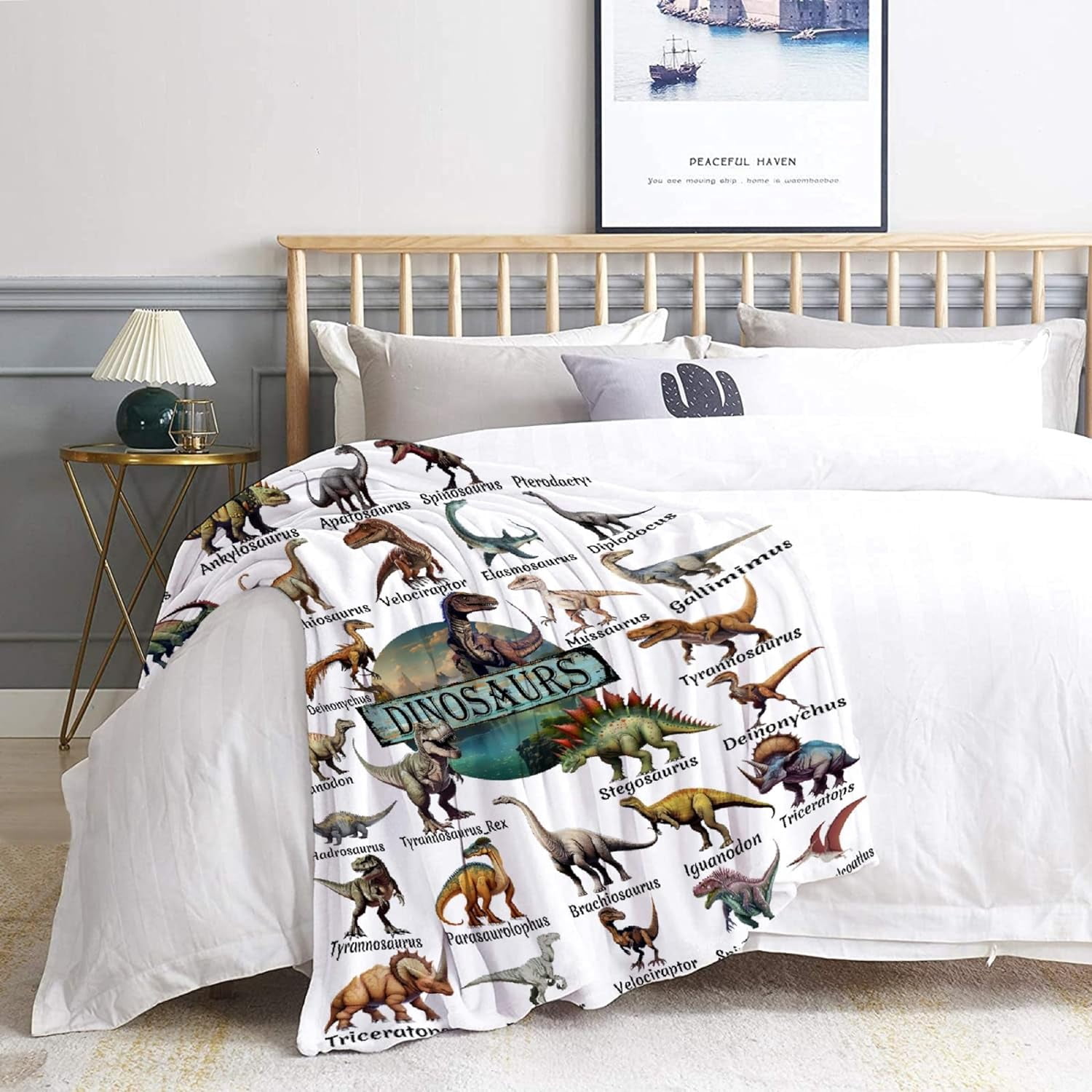 Dinosaur Blanket for Boys Girls,Dinosaur Gifts for Kids Blanket,Types of Dinosaurs Funny Throw Blanket,Soft Cozy Flannel Blanket Dinosaur Room Decor Gifts for Boys Girls,Kids Size-40"x50"
