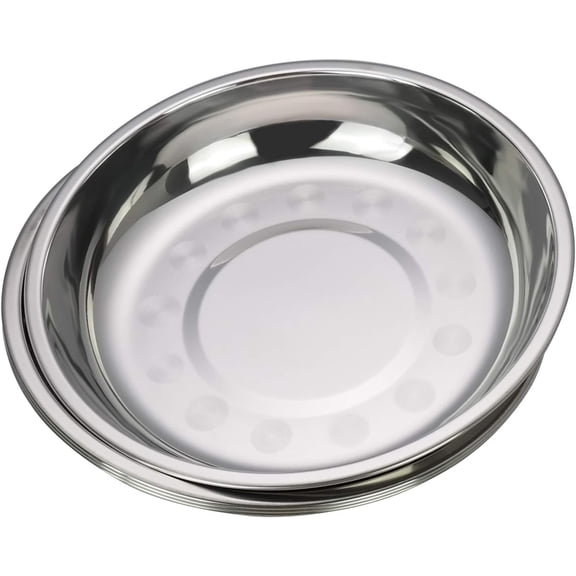 4-Pack 10 INCHES Stainless Steel Round Plate/Camping Metal Dinner Plates