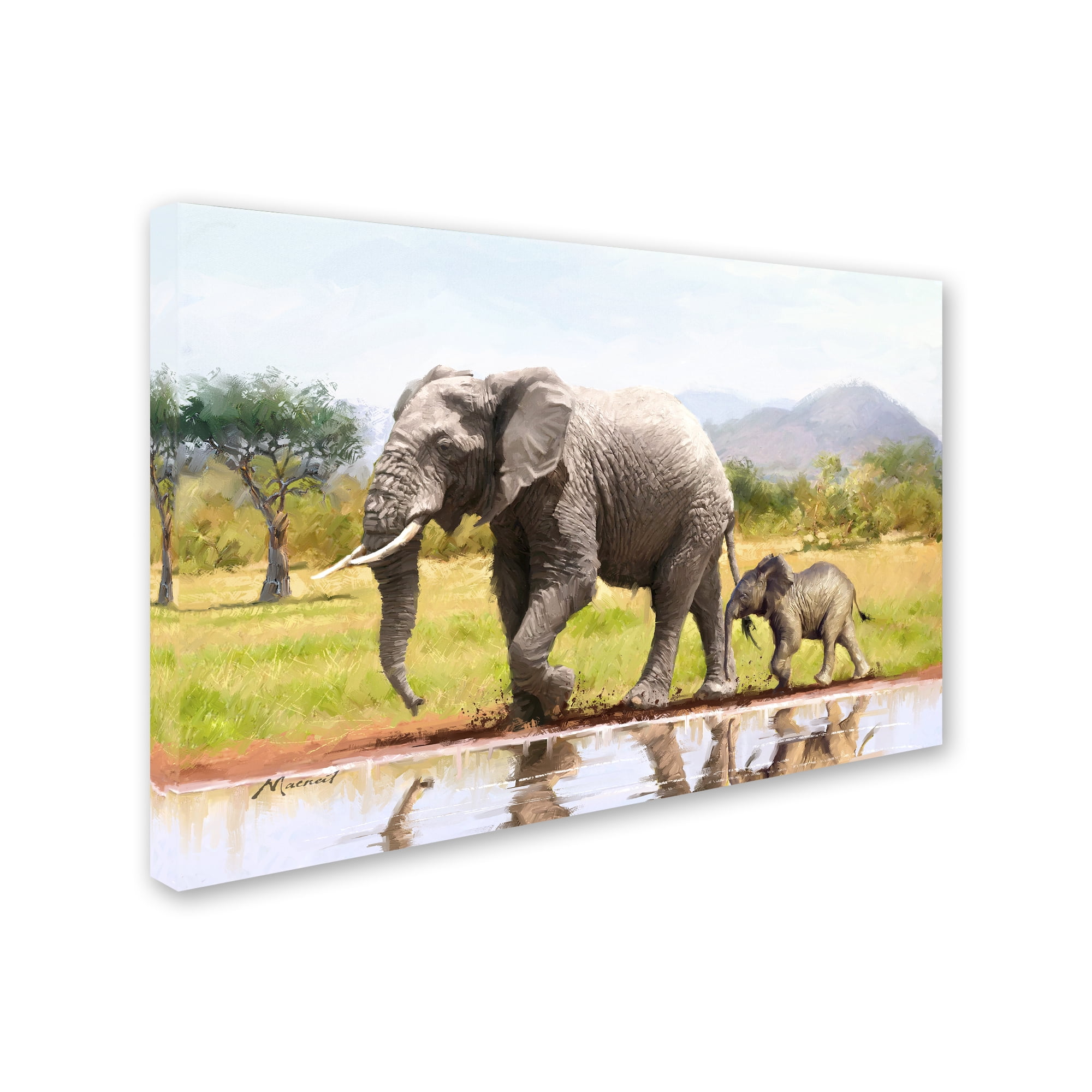 Trademark Fine Art 'Elephant' Canvas Art by The Macneil Studio
