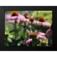 thumbnail image 2 of Bonin, Suzanne 24x19 Black Modern Framed Museum Art Print Titled - Spiky, 2 of 5