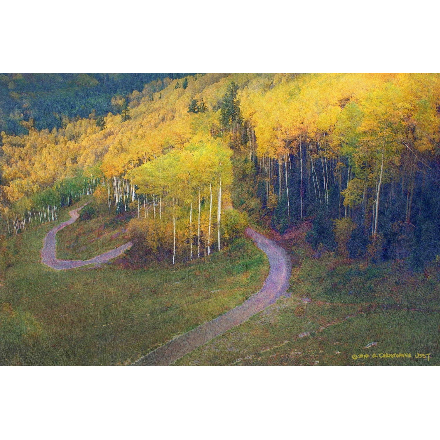 "Old Pass Road" Painting Print on Wrapped Canvas