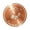 Butterfly, variant on Pure Copper Bird Bath Purification Disk, Sunflower Shaped Water Cleaner, Outdoor Bird Bath Basin Cleaning Disc, 3.9" (Rose Gold)