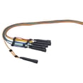 thumbnail image 1 of Jump Ropes Sportime, longitud ajustable, 9 pies, juego de 6, 1 of 2