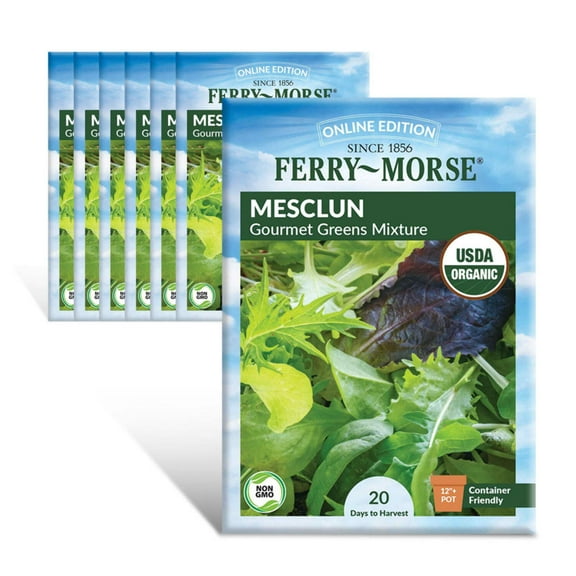 Ferry-Morse Online Edition Mesclun Gourmet Greens Mixture Organic Seed Multipack - 7 Pack