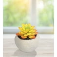thumbnail image 6 of (2 pack) Mainstays 3.54" Artificial Succulent Plant in Cement Pot, Yellow & Orange, 6 of 7