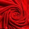 Panne Velvet Fabric, Red