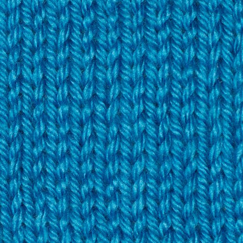 Caron Simply Soft Solids Yarn-Sage, 1 count - Baker's