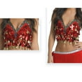 thumbnail image 3 of ZZwxWA Sequin Halter Bra Top Salsa Belly Dance Boho Festival Clubbing Tribal Bra Tops, 3 of 3