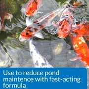 API Pond Simply Clear, Pond Water Clarifier, 32-Ounce