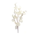thumbnail image 2 of Melrose Eucalyptus Artificial Sprays - 34" - Set of 6, 2 of 3