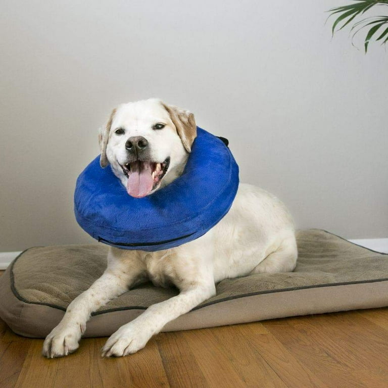 Kong Cloud Collar Petsmart metta.pt