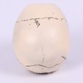 thumbnail image 2 of Escultura de cabeza de calavera Wdftyju con luz nocturna para Halloween, 2 of 9