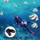 thumbnail image 2 of 4X Regulador de Boquilla de Snorkel Boquilla de Buceo Accesorio Universal Reemplazo Respirador de Silicona de Buceo Azul, 2 of 3