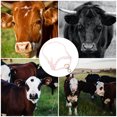 thumbnail image 2 of KAKOWELY Licou Vache Pratique Réutilisable Sécurité Traction 17.32"X7.87"X7.87 Pouces, 2 of 5