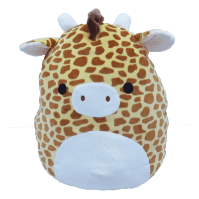 gary with tube squishmallow