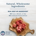 thumbnail image 5 of Blue Buffalo Life Protection Formula Adult Beef & Brown Rice Recipe Dry Dog Food, 11.7-kg bag, 5 of 5