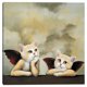 thumbnail image 1 of Cuadros Decorativos Jr Rafael Gato Canvas, 1 of 1