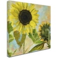 thumbnail image 2 of Trademark Fine Art "Soleil I" Canvas Art by Color Bakery, 2 of 6