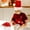 Red, variant on LED Light Up Santa Hat - Battery Operated Flashing Christmas Hat for Adults/Kids, 3 Light Modes, Soft Plush Red Xmas Party Hat for Caroling/Photos (2 Sizes)