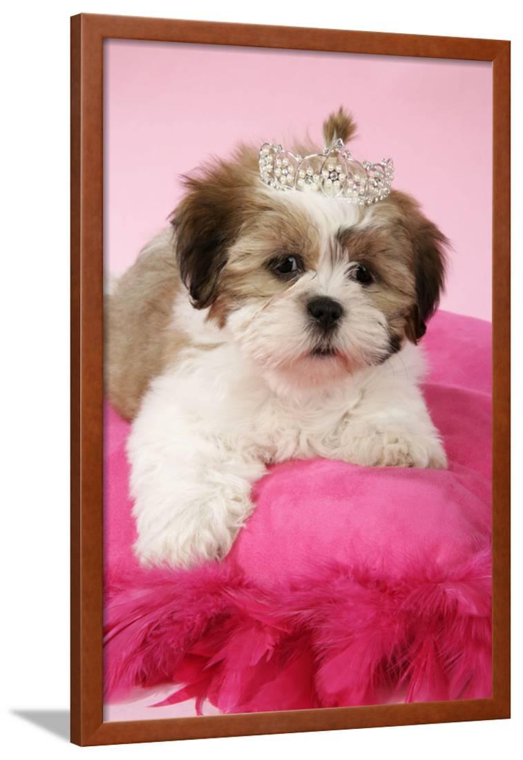 shih tzu stuffed animal walmart