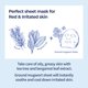 thumbnail image 3 of numbuzin No.4 Sheet Mask | Icy Soothing Sheet Mask | Instant Cooling, Hydrating with Tea Tree Extract, Bergamot Leaf Extract | Soothes, Relieves Heated Skin | Korean Skincare (5 Count (Pack of 1)), 3 of 9