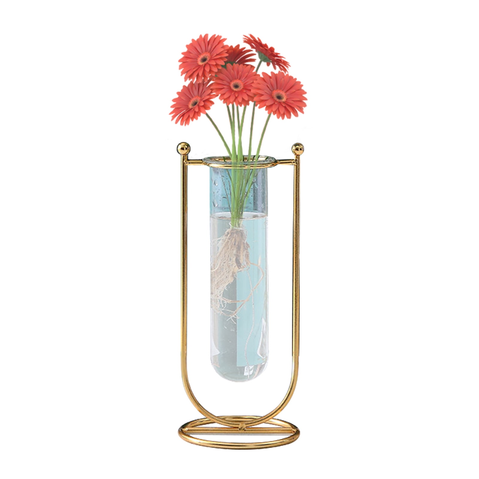 Famyfamy Plant Vase With Rack/Holder For Propagating Hydroponics Plants