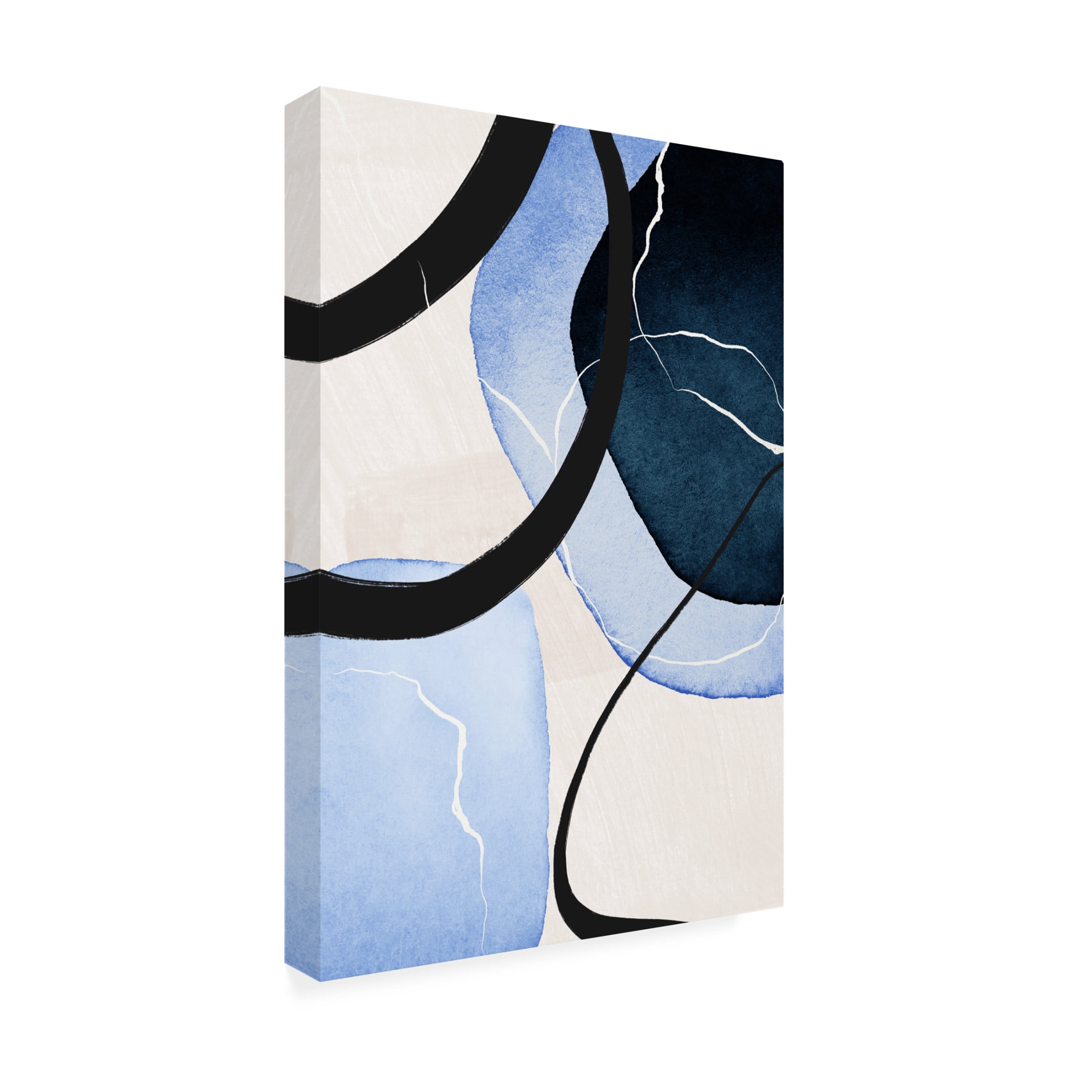 Trademark Fine Art Sally Ann Moss Shapley Blue 3 Canvas Wall Art